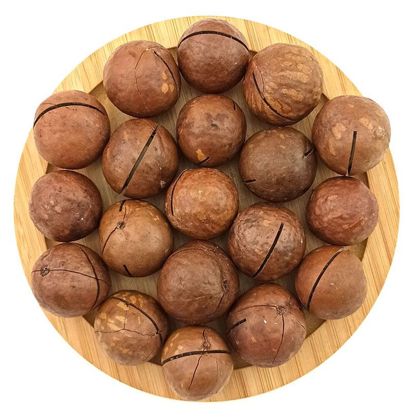 Макадамия неочищенная в скорлупе с ключом 1 кг - купить с доставкой по ...