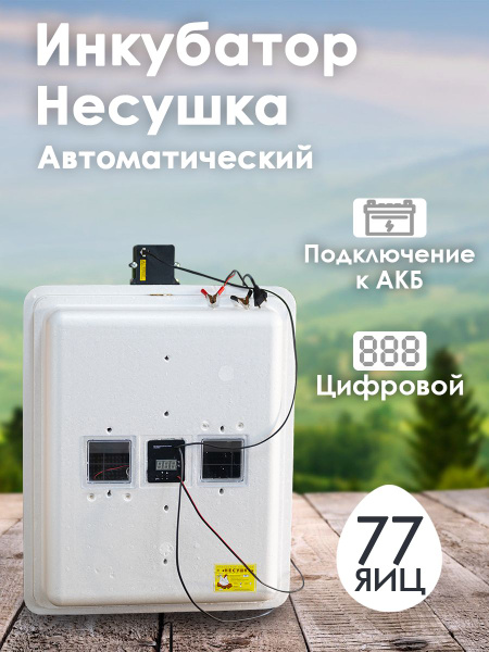 Инкубатор для яиц автоматический Несушка 77 яиц 220/12 В, цифровой ...