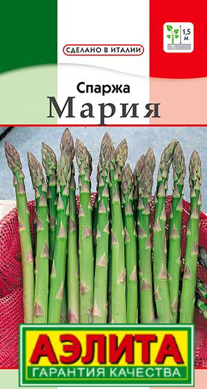 Спаржа, Аспарагус Агрофирма Аэлита 4650-SPARGA - купить по выгодным ...