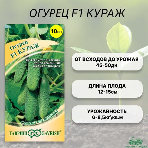 Купить Семена Кураж F1