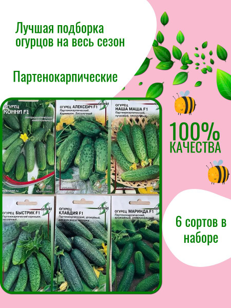 Огурцы 4SS семена огурцов_1_32177 - купить по выгодным ценам в интернет ...