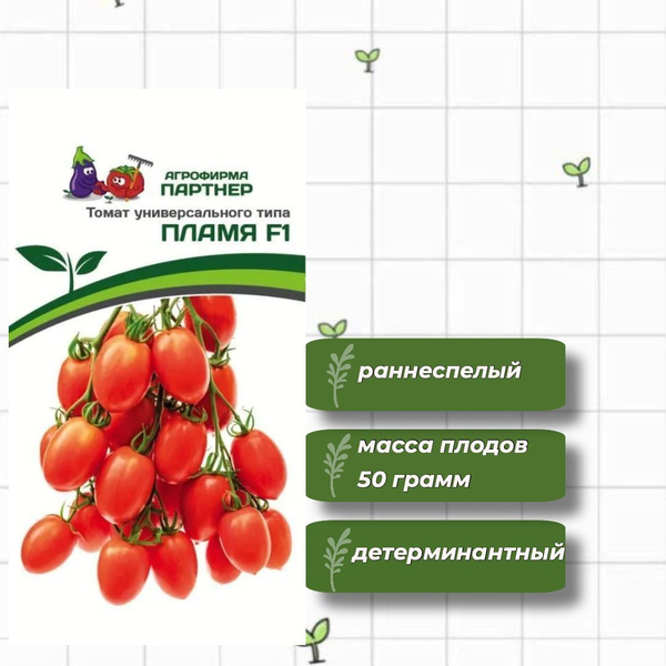Сорт томатов пламя