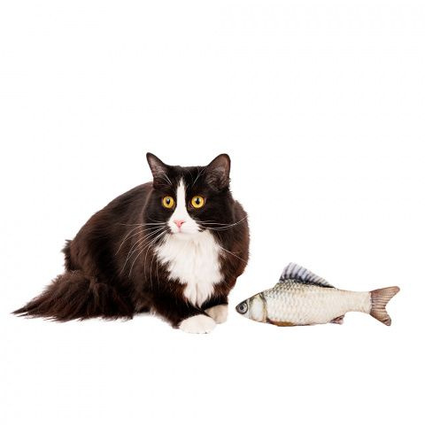 Игра для кошек рыбки