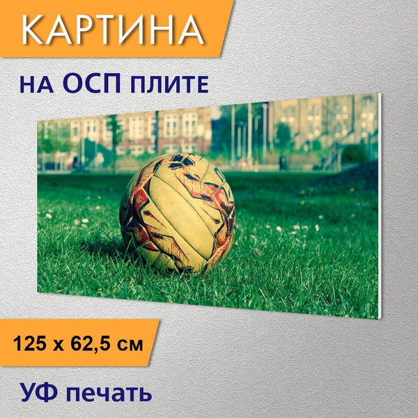 Горизонтальная картина "Футбольный мяч, круглый, отдых" для интерьера ...