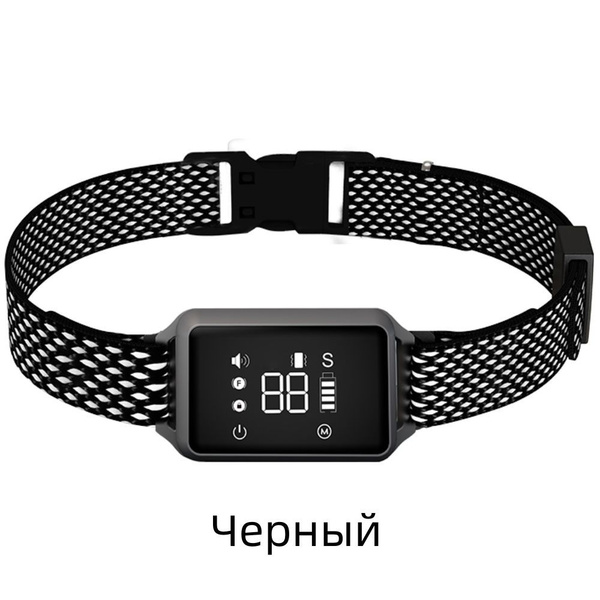 Ошейник для дрессировки собак / Предметы первой необходимости для ...