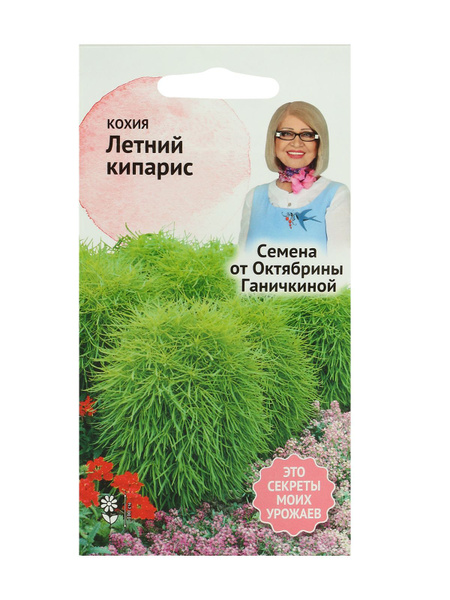 Кохия АгроСидсТрейд кохия - купить по выгодным ценам в интернет ...