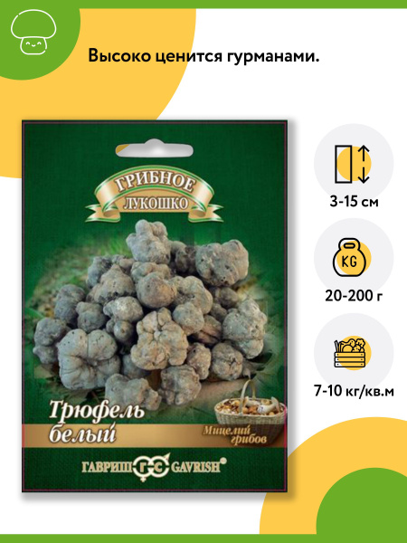 Гриб Трюфель белый Российский (1 упаковка - 15 мл). Семена грибов ...