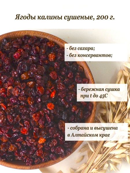 Ягоды калины сушеные, 200 г., калина сушеная алтайская. - купить с ...
