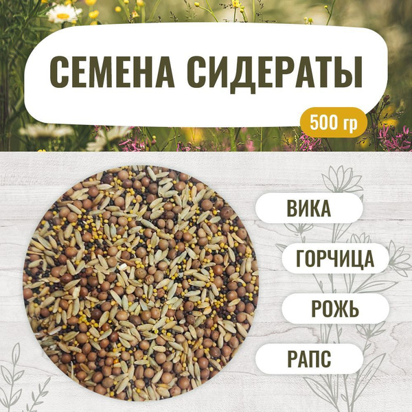 Exotic Tree soivam - купить по выгодным ценам в интернет-магазине OZON ...