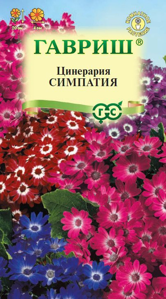 Цинерарии Гавриш Цинерария Симпатия (цветущая гибридная) 8 шт. - купить ...
