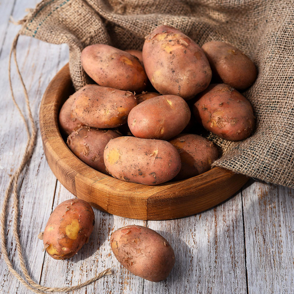 Картофель красный, грязный, 1,5 кг - купить с доставкой по выгодным ...
