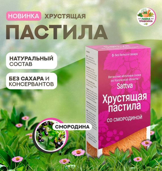 Хрустящая пастила без сахара со смородиной, Sattva - купить с доставкой ...