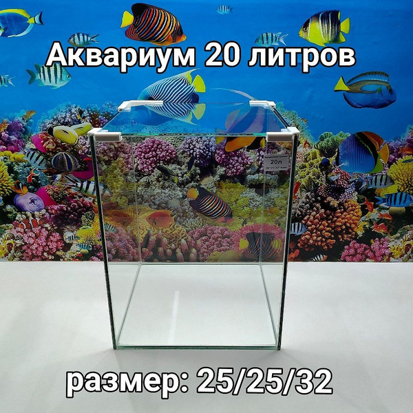 Аквариум куб 20л с накрывным стеклом купить на OZON по низкой цене ...