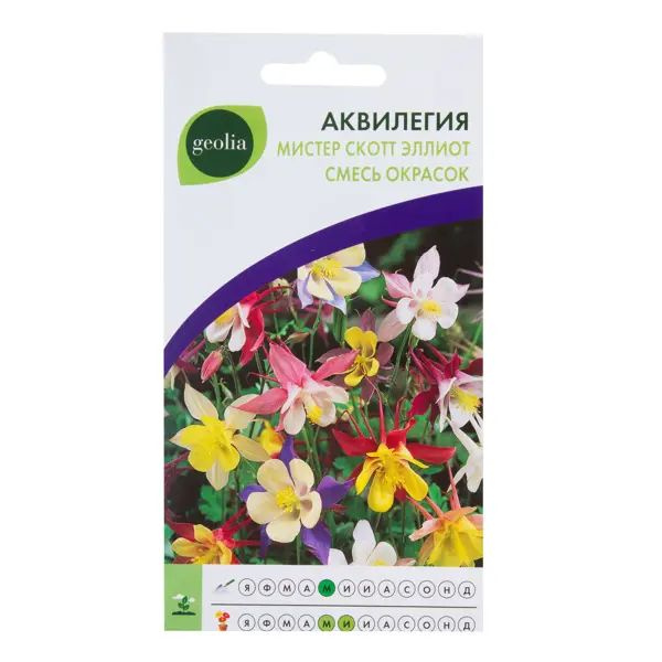 Altero Stroy Аквилегия Geolia «Мистер Скотт Эллиот» Alt - купить по ...