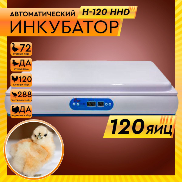Инкубатор автоматический 120 яиц, H120 - купить с доставкой по выгодным ...