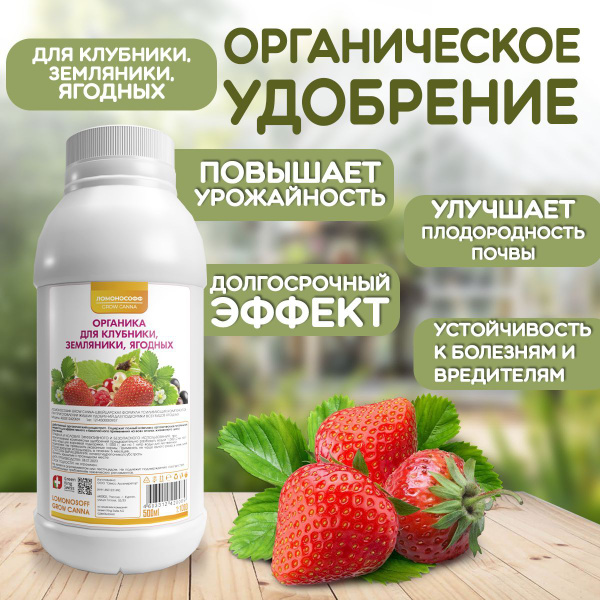 Органическое удобрение для клубники земляники ягодных / Стимулятор ...
