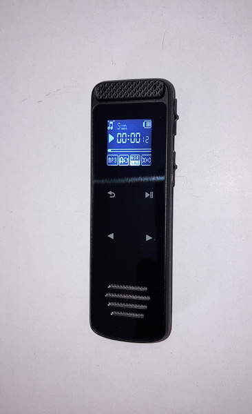 Диктофон TAYMLUX мини, MP3, 8 ГБ купить по выгодной цене в интернет ...