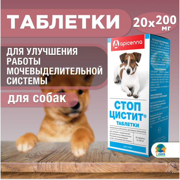 Стоп-цистит для собак, таблетки, 20 шт., по 200 мг - купить с доставкой ...