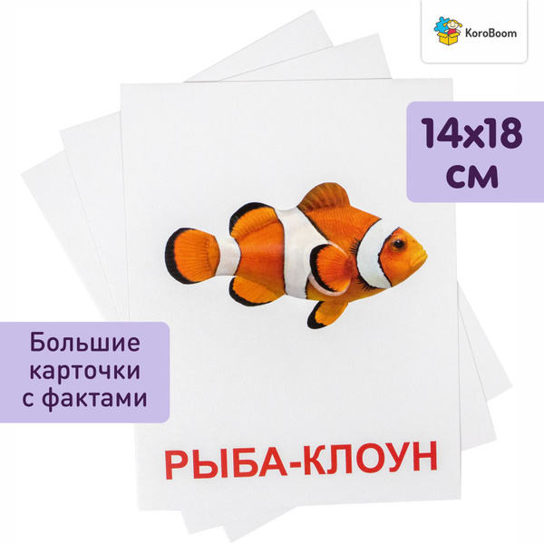 Обучающие карточки Домана "Обитатели воды" Всезнайка KoroBoom, 20 ...