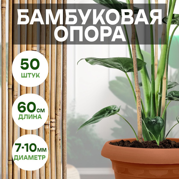 Бамбуковая опора для растений, 60 см - купить по выгодной цене в ...
