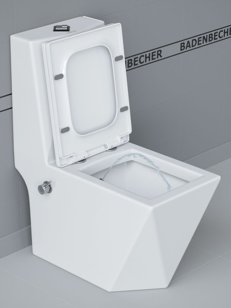 Унитаз моноблок с встроенным биде BADENBECHER 8617ABW крышка микролифт ...