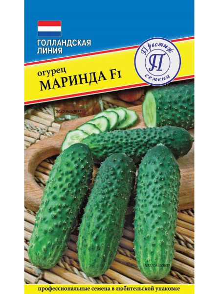 Сорт Огурцов Маринда Фото