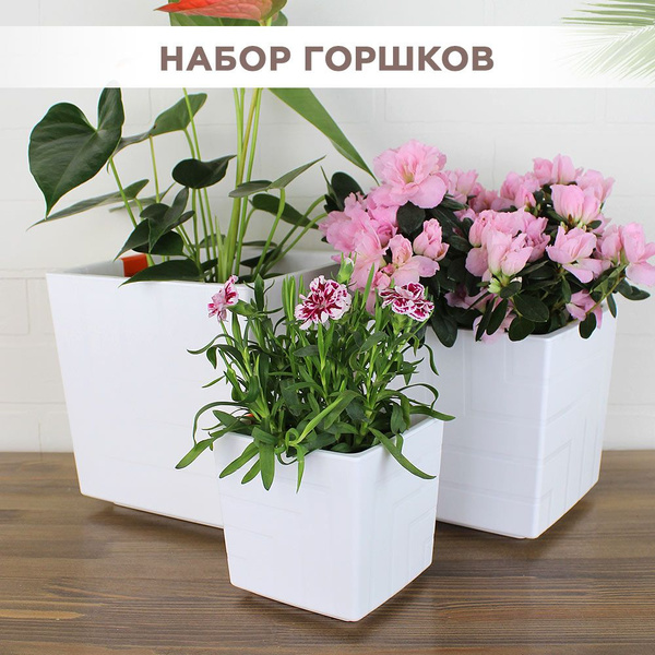 Пластиковые горшки для цветов, комплект из 3-х: 1,2л/3,3л /6,6л Квадро ...