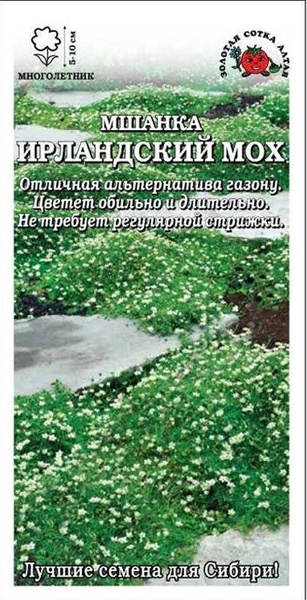Мшанка (мох ирландский) Золотая сотка Алтая Мшанка - купить по выгодным ...
