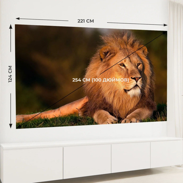 Экран для проектора 100 ДЮЙМОВ, полотно для проектора SHAKACHU RW100R ...