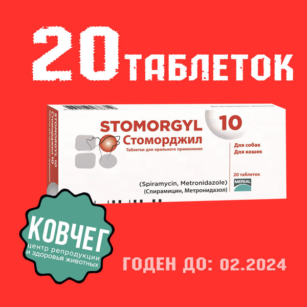 Стоморджил 10 мг, 20 таблеток (02.2024) - купить с доставкой по ...