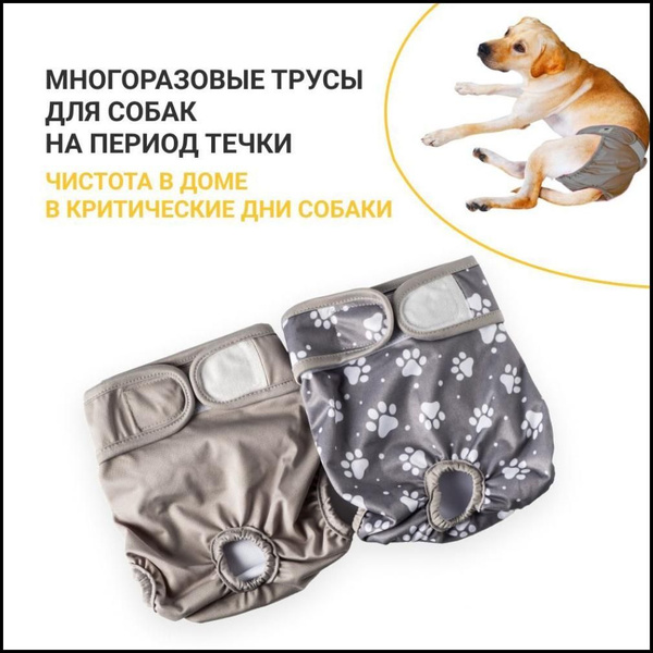 Многоразовый подгузник для собак во время течки. Трусы для собак ...
