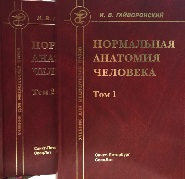 Нормальная анатомия человека. Гайворонский. | Гайворонский Иван ...