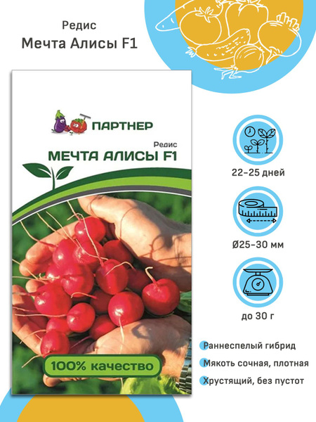 Редис мечта