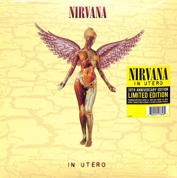 Nirvana - In Utero (30th Anniversary Edition) виниловая пластинка ...