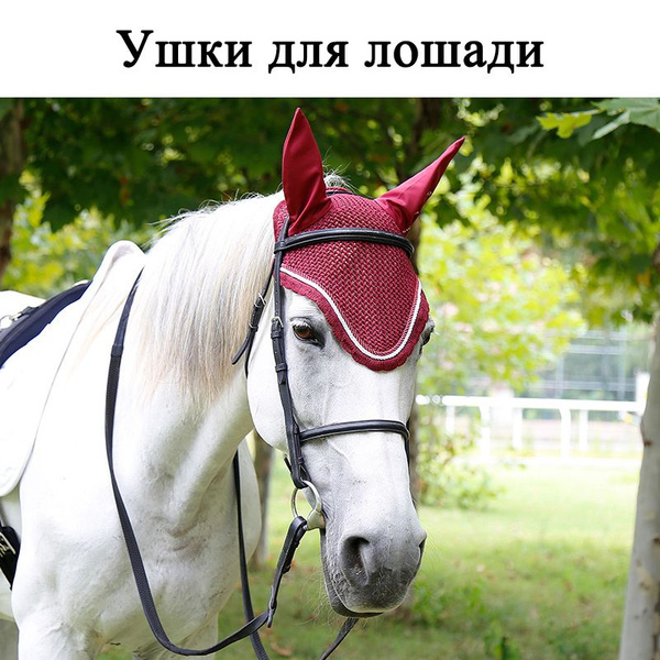 Ушки для лошади - купить с доставкой по выгодным ценам в интернет ...