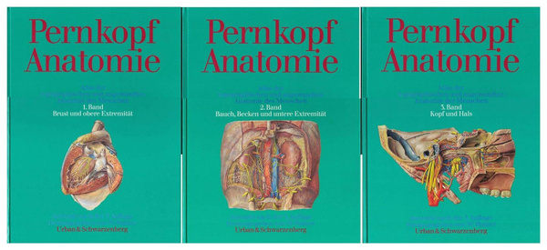 Атлас Пернкопфа. Pernkopf Anatomie. Atlas der topographischen und ...