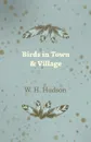 Birds in Town & Village - W. H. Hudson