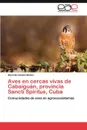 Aves En Cercas Vivas de Cabaiguan, Provincia Sancti Spiritus, Cuba - Hernandez Munoz Abel