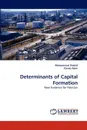 Determinants of Capital Formation - Muhammad Shahid, Parvez Azim