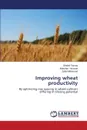 Improving wheat productivity - Farooq Shahid, Hussain Mubshar, Mahmood Zahid