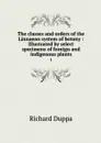 The classes and orders of the Linnaean system of botany : Illustrated by select specimens of foreign and indigenous plants. 1 - Richard Duppa