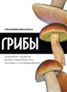 Грибы - справочник определитель - Адамчик В.В.