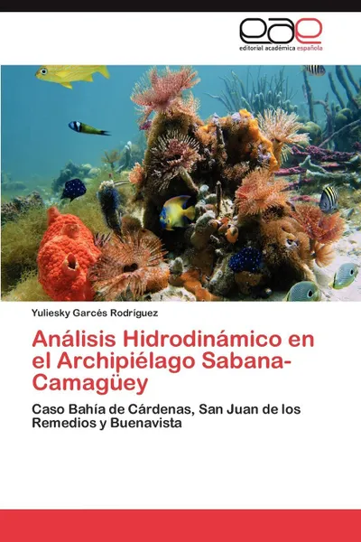 Обложка книги Analisis Hidrodinamico En El Archipielago Sabana-Camaguey, Yuliesky Garc S. Rodr Guez, Yuliesky Garces Rodriguez