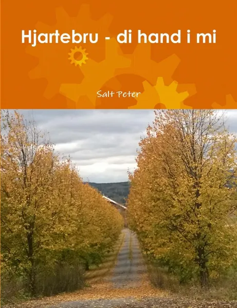 Обложка книги Hjartebru - di hand i mi, Salt Peter