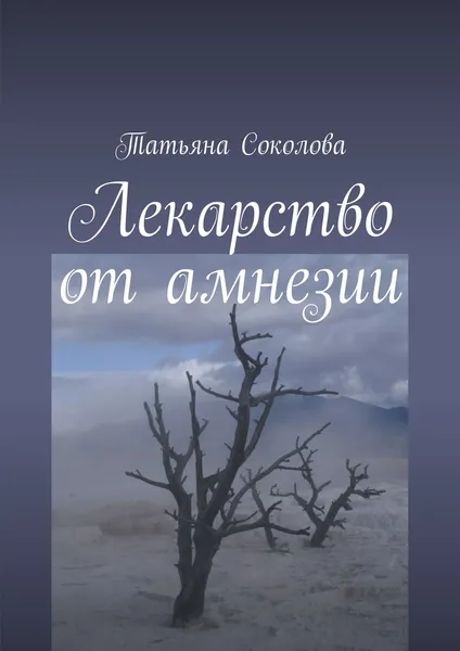 Обложка книги Лекарство от амнезии, Татьяна Соколова