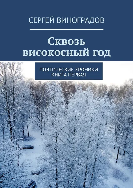 Обложка книги Сквозь високосный год, Сергей Виноградов