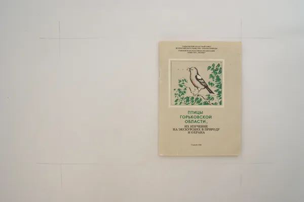 Обложка книги Птицы Горьковской области, их изучение на экскурсиях в природу и охрана, Аникин В.И.