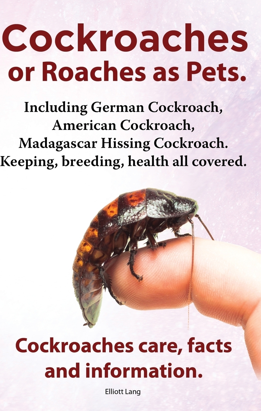 Cockroaches as Pets. Cockroaches Care, Facts and Information. Including German Cockroach, American Cockroach, Madagascar Hissing Cockroach. Keeping, B