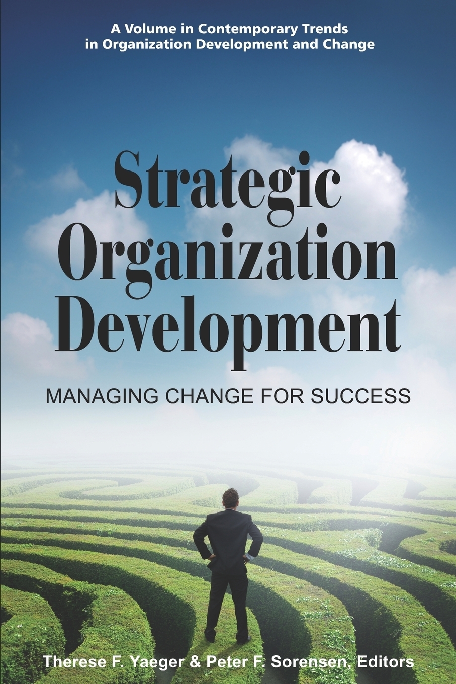 фото Strategic Organization Development Managing Change for Success (PB)