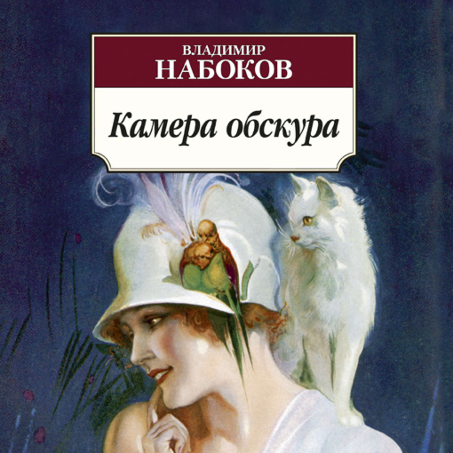 Книга комната обскура